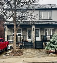 1 Bedroom Basement