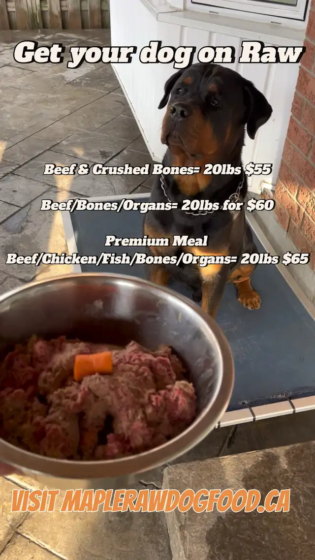 Maple Raw Dog Food