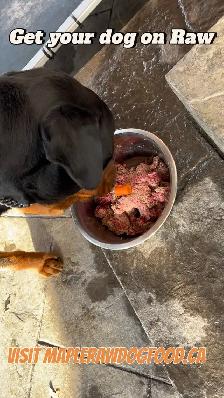 Maple Raw Dog Food - Photo 2