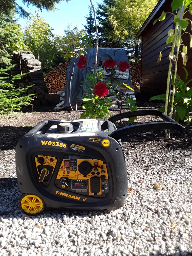 FIRMAN W03386 Generator