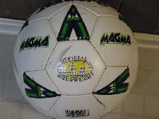 Various Types of Sports Balls - Photo 7