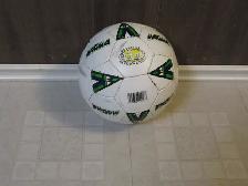 Various Types of Sports Balls - Photo 8
