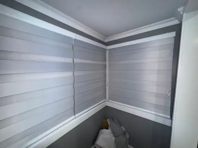 Sheer and Blackout Dual Blinds