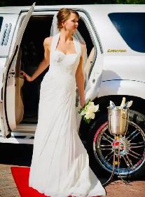 LIMOUSINE LIMO SERVICE -NIAGARA TORONTO CLUB WEDDING BIRTHDAY - Photo 7