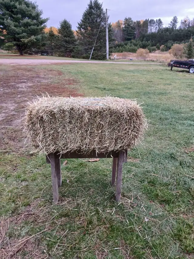 good quality small hay bales for sale