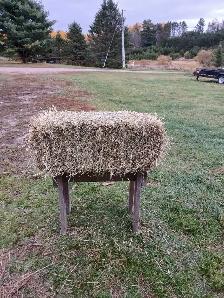 good quality small hay bales for sale