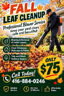 Fall cleanup