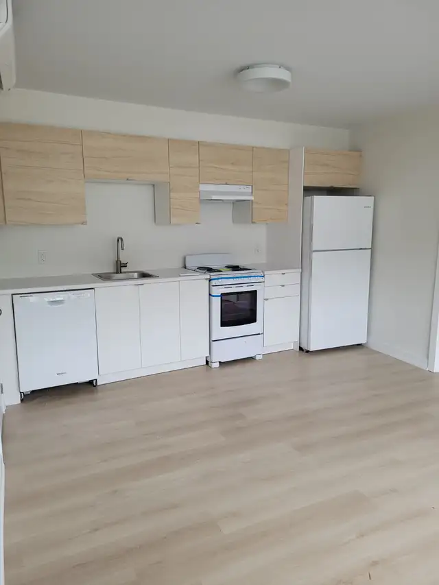 2 Bedroom Apt in Tottenham for Rent Dec 1st