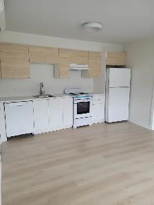 2 Bedroom Apt in Tottenham for Rent Dec 1st