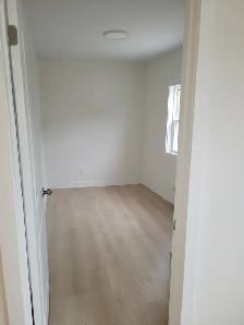 2 Bedroom Apt in Tottenham for Rent Dec 1st - Photo 2