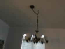 Dinng Room Light Fixture - Photo 3