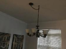 Dinng Room Light Fixture - Photo 4