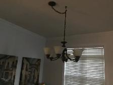 Dinng Room Light Fixture - Photo 5