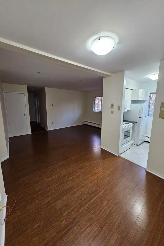 HALF-MONTH FREE - 68 ELM - RENO'ED KITCHEN - NOV 1ST