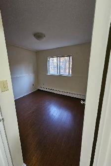 HALF-MONTH FREE - 68 ELM - RENO'ED KITCHEN - NOV 1ST - Photo 5