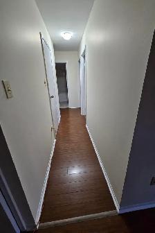 HALF-MONTH FREE - 68 ELM - RENO'ED KITCHEN - NOV 1ST - Photo 8