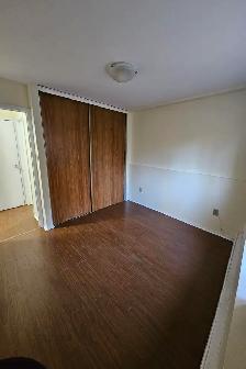 HALF-MONTH FREE - 68 ELM - RENO'ED KITCHEN - NOV 1ST - Photo 9