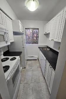 HALF-MONTH FREE - 68 ELM - RENO'ED KITCHEN - NOV 1ST - Photo 10