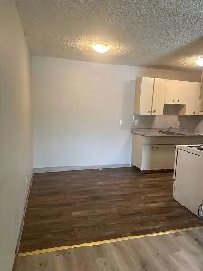 1 Bed 1 Bath Unit in Edmonton, AB - Photo 4
