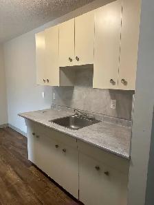 1 Bed 1 Bath Unit in Edmonton, AB - Photo 13