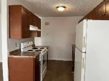 2 Bed 1 Bath Unit in Red Deer, AB - Photo 3