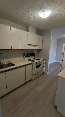Two Bedroom Available Now In Minnow Lake Utilities Included