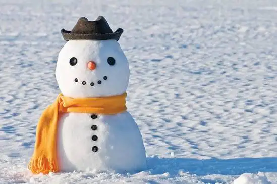 Snow Removal