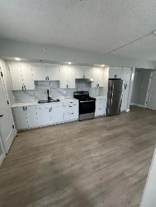 Brand New Two Bed Two Bath Available Now in Minnow Lake