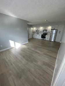 Brand New Two Bed Two Bath Available Now in Minnow Lake - Photo 2