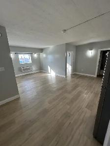 Brand New Two Bed Two Bath Available Now in Minnow Lake - Photo 3