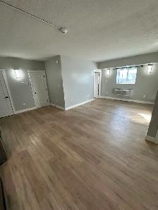 Brand New Two Bed Two Bath Available Now in Minnow Lake - Photo 4