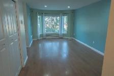 21 arnhem road for rental - Photo 4