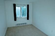 21 arnhem road for rental - Photo 7