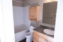 21 arnhem road for rental - Photo 9