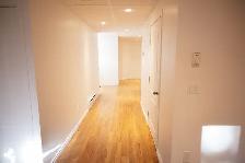 21 arnhem road for rental - Photo 11