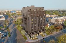 Room for Rent at hälsa – Mimico, Toronto | Starting at $995/mo