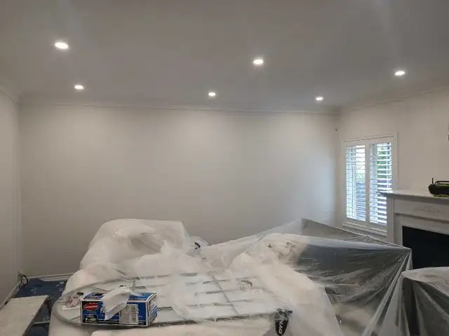 Painter$