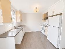 Renovated 2 Bedroom Apartment with Private Terrace in LaSalle