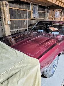 NIAGARA STORAGE – 2026–2027 WINTER VEHICLE STORAGE - Photo 8