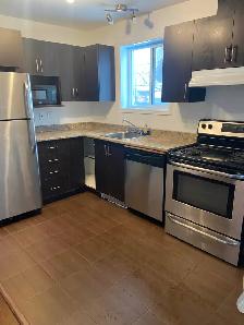 BEAU GRAND LOGEMENT DE 2 CHAMBRES AU COEUR D'AYLMER - Photo 2
