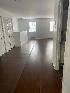 BEAU GRAND LOGEMENT DE 2 CHAMBRES AU COEUR D'AYLMER - Photo 3