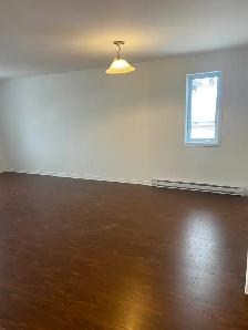 BEAU GRAND LOGEMENT DE 2 CHAMBRES AU COEUR D'AYLMER - Photo 4