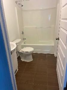 BEAU GRAND LOGEMENT DE 2 CHAMBRES AU COEUR D'AYLMER - Photo 7