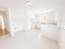 Fully Renovated 2 Bedroom Apartment in LaSalle for rent - Photo 8
