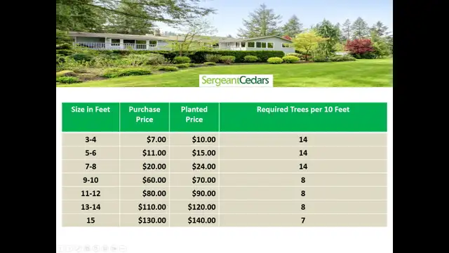 HUGE SALE ON CEDAR TREES - BEST TIME TO PLANT