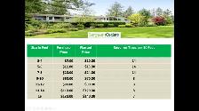 HUGE SALE ON CEDAR TREES - BEST TIME TO PLANT