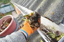 GUTTER CLEANING    25% OFF!!