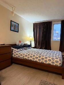 A Beautiful Furnished Unit for a Professional -Yonge and Finch - Photo 2