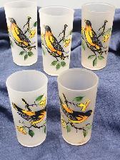 Oriole Glasses