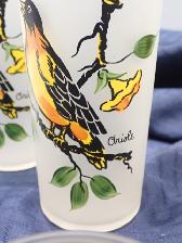 Oriole Glasses - Photo 5